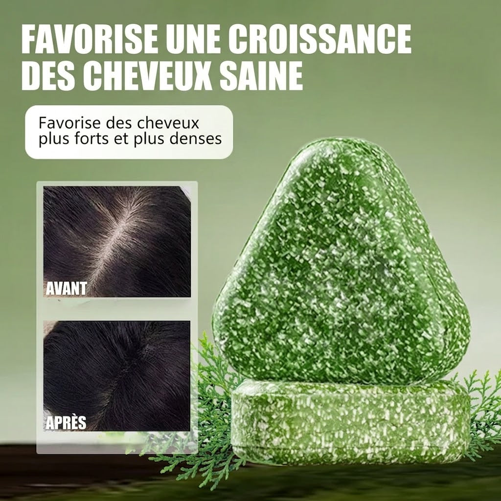 Shampooing Coréenne Renforçant Naturelle