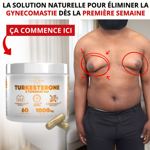 Capsules Testostérone Turkestérone