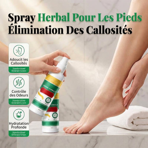Spray Rafraîchissant Pieds à Base de Plantes