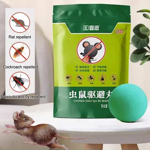 Répulsif Naturelle Rat